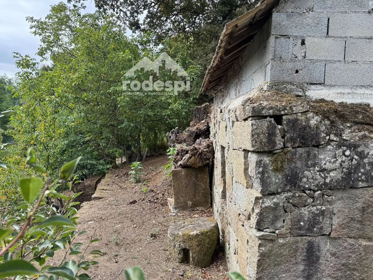Others for sale in Cortegada, imagen 26