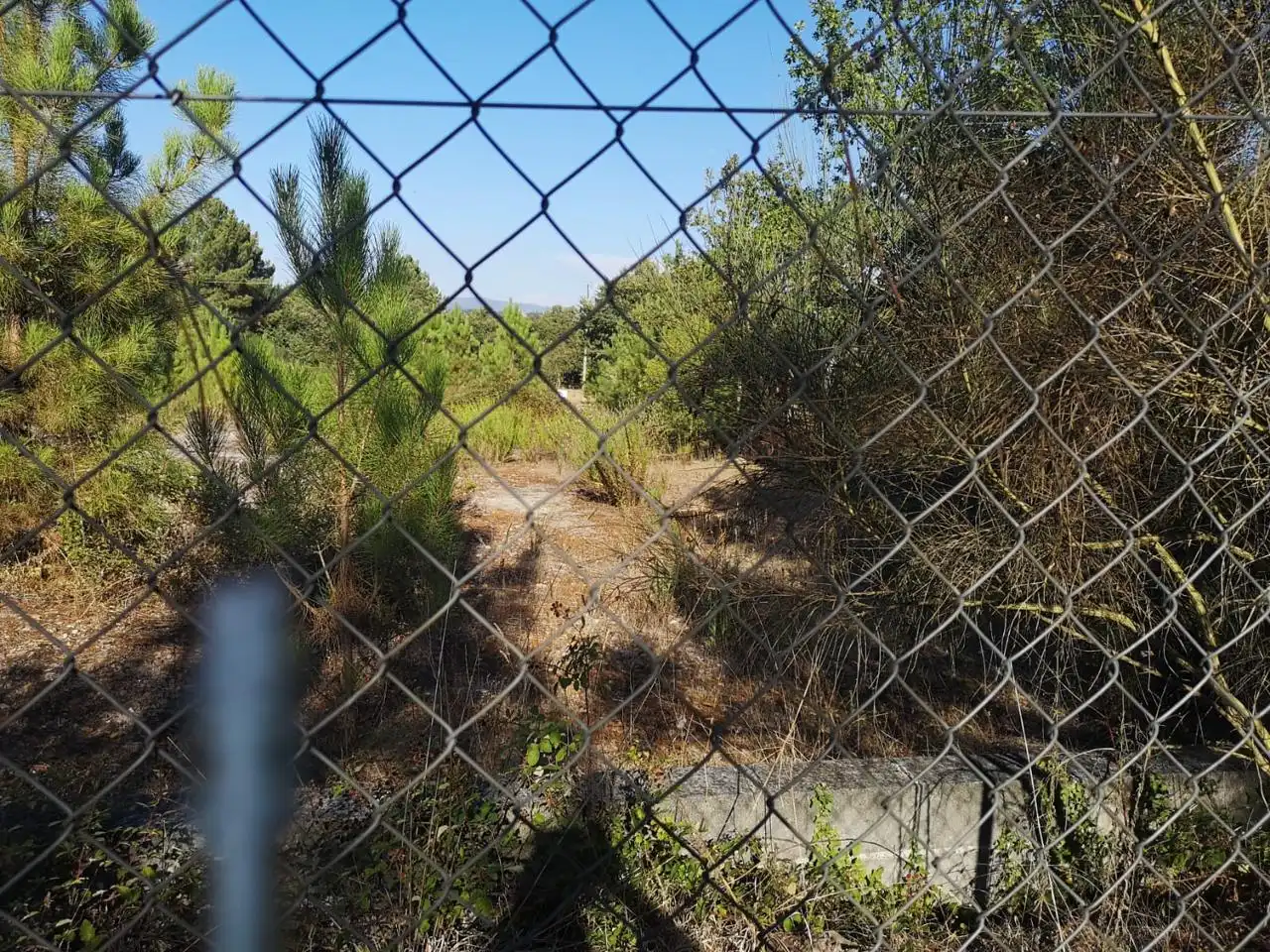 Terrenys i solars en venda a O Pereiro de Aguiar, imagen 9