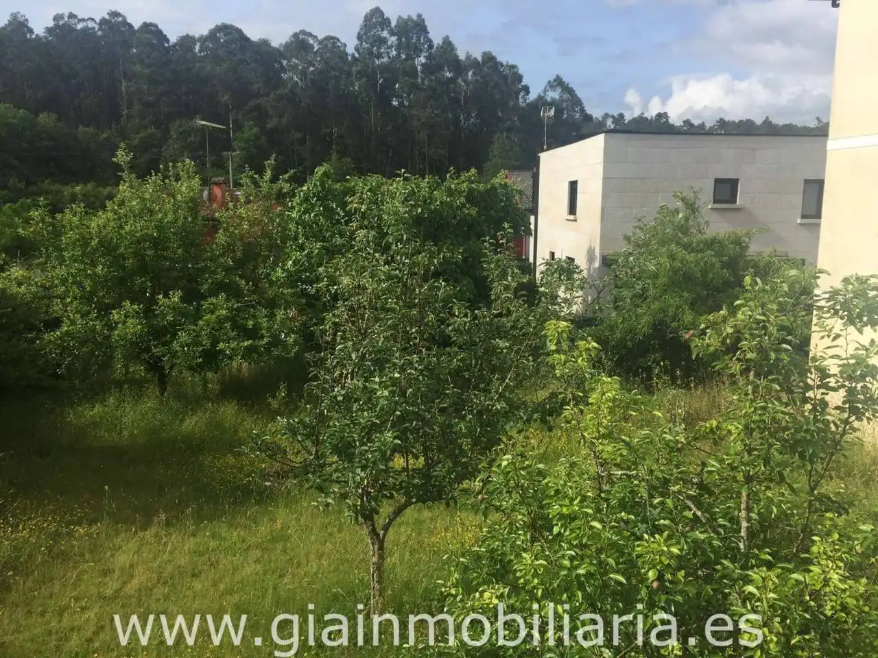 Terreny rústic en venda a Carretera Pego 89, imagen 6