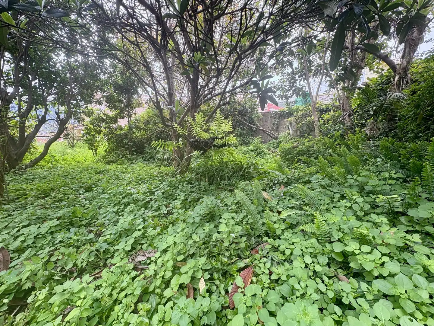 Residential for sale in La Orotava