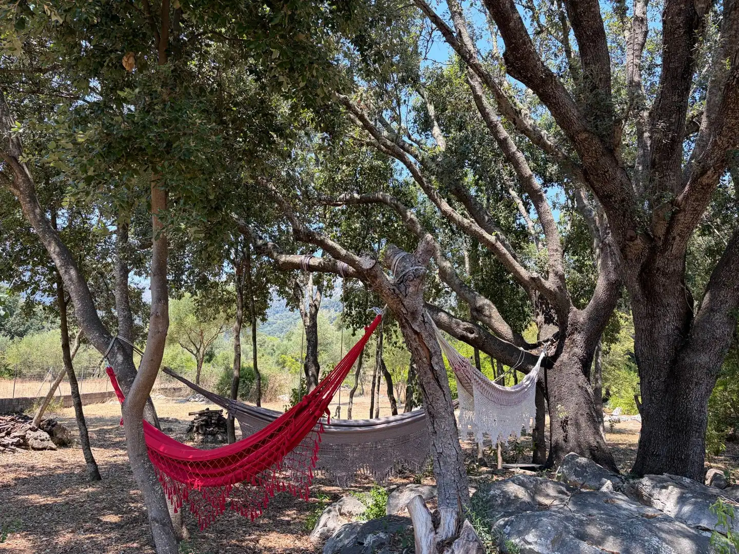 Jardí de Finca rústica en venda en Campanet amb Aire condicionat, Calefacció i Jardí privat