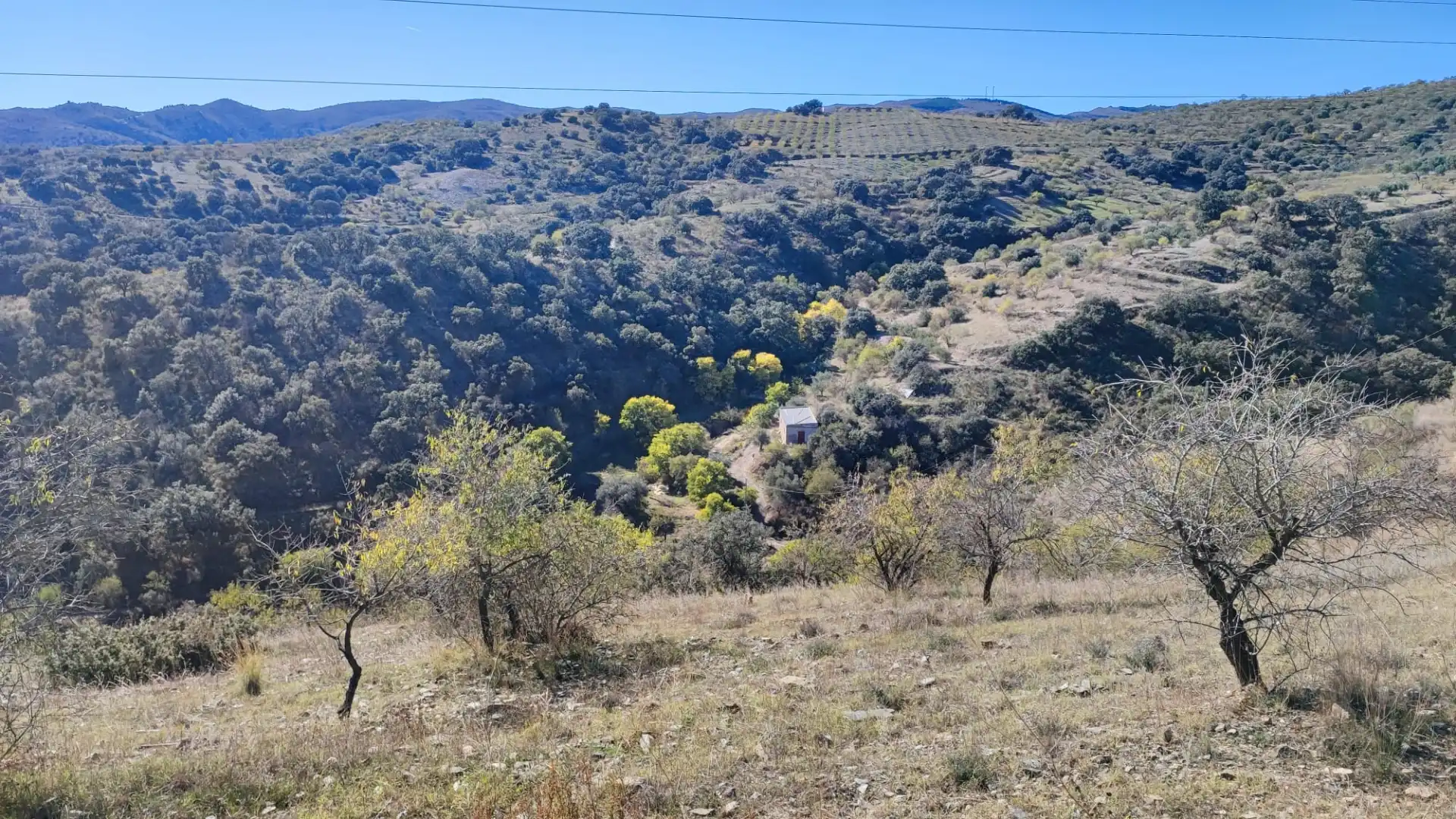 Land for sale in Alcudia de Monteagud