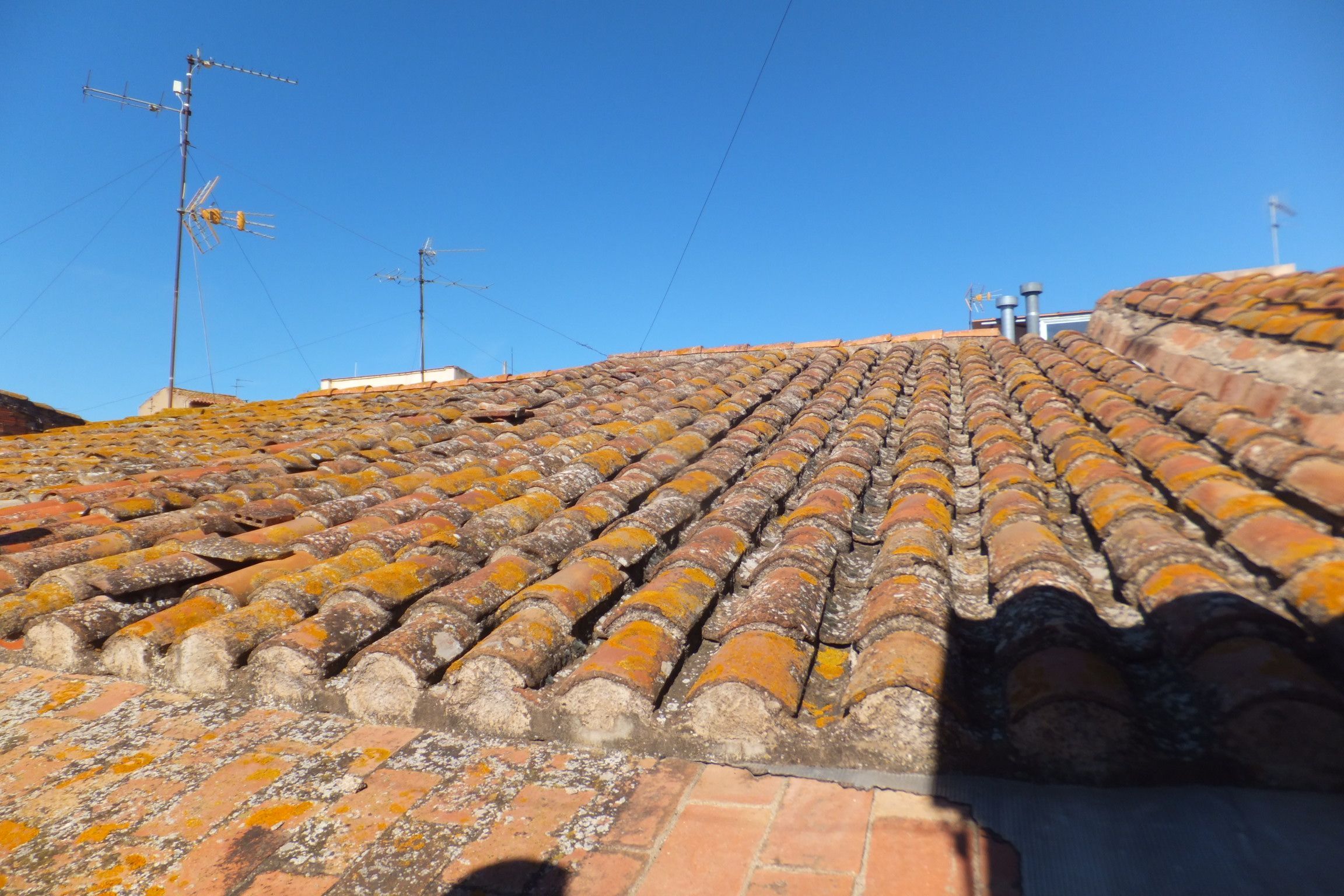 Vista exterior de Casa o xalet en venda en Riudoms amb Calefacció, Terrassa i Traster