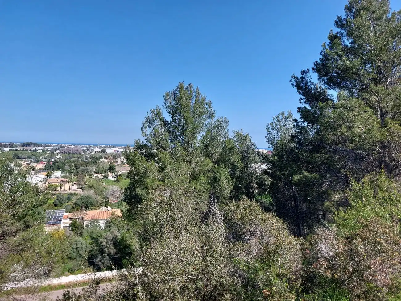 Terreny residencial en venda a La Pedrera - Vessanes, imagen 4