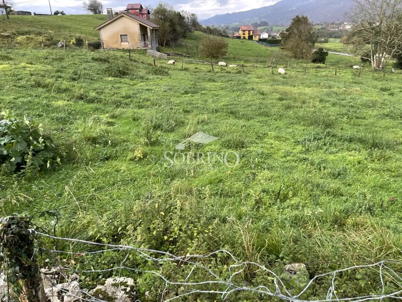 Terreno residencial en venta en Calle La Borbolla 1, imagen 7