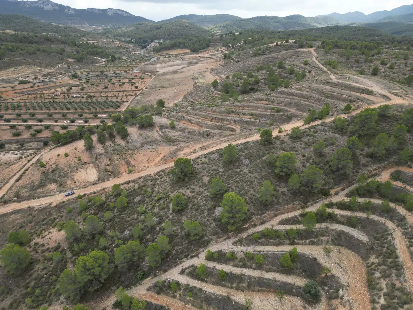 Terreny residencial en venda a Jumilla, imagen 10