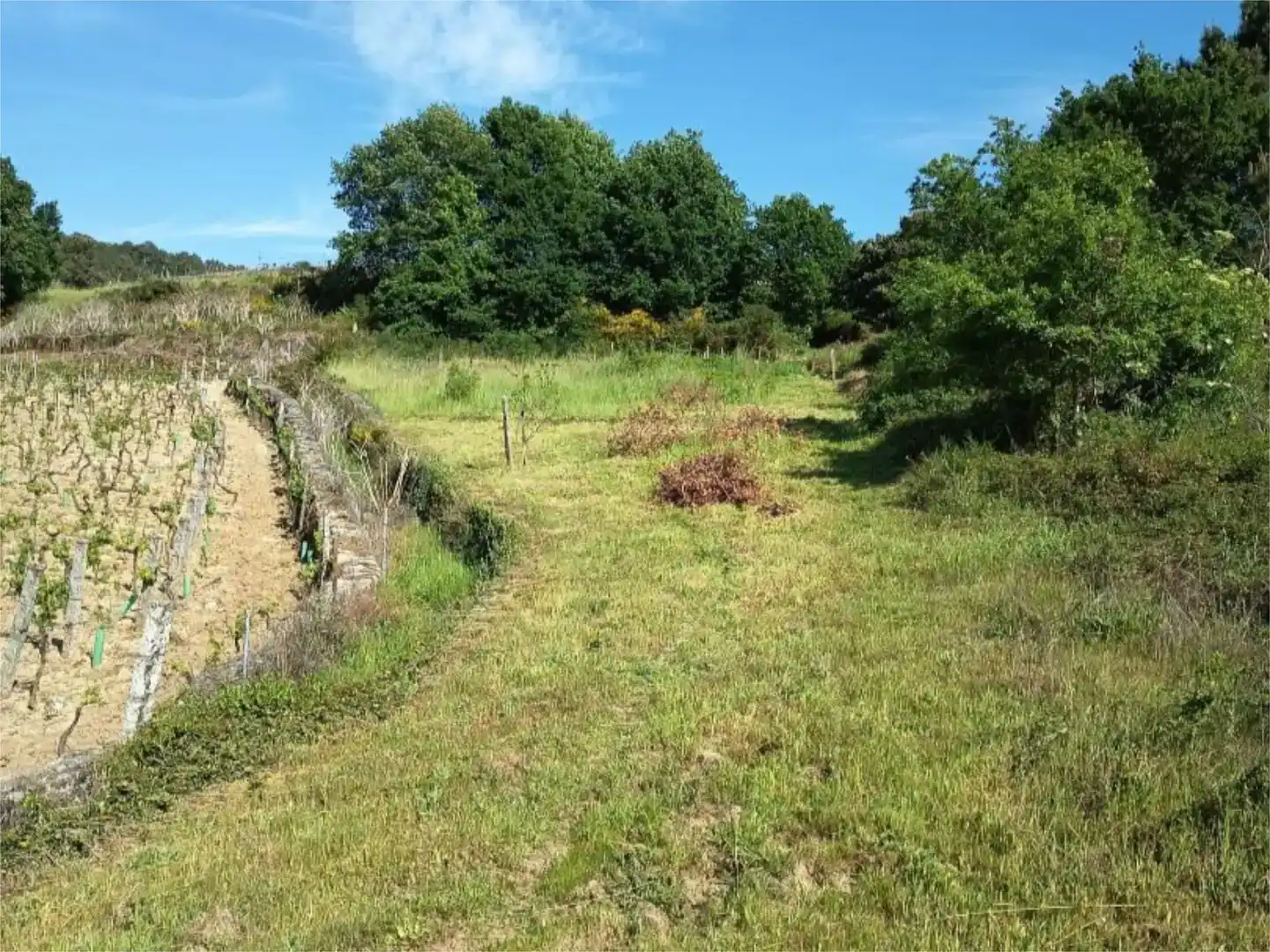 Casa adosada en venda en Leiro amb Jardí privat, Traster i Moblat