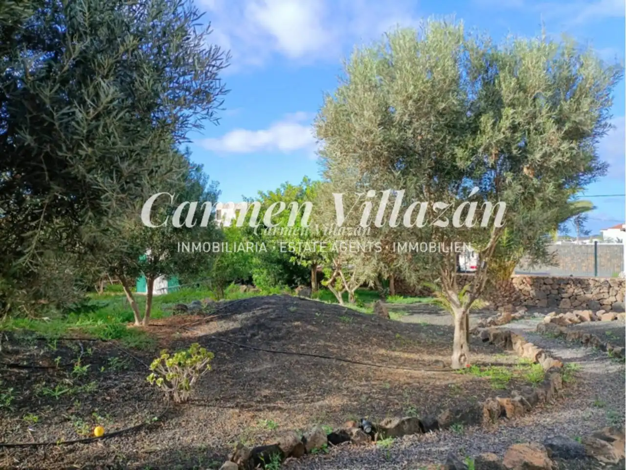 Villa avec jardin à vendre à Calle central, imagen 47