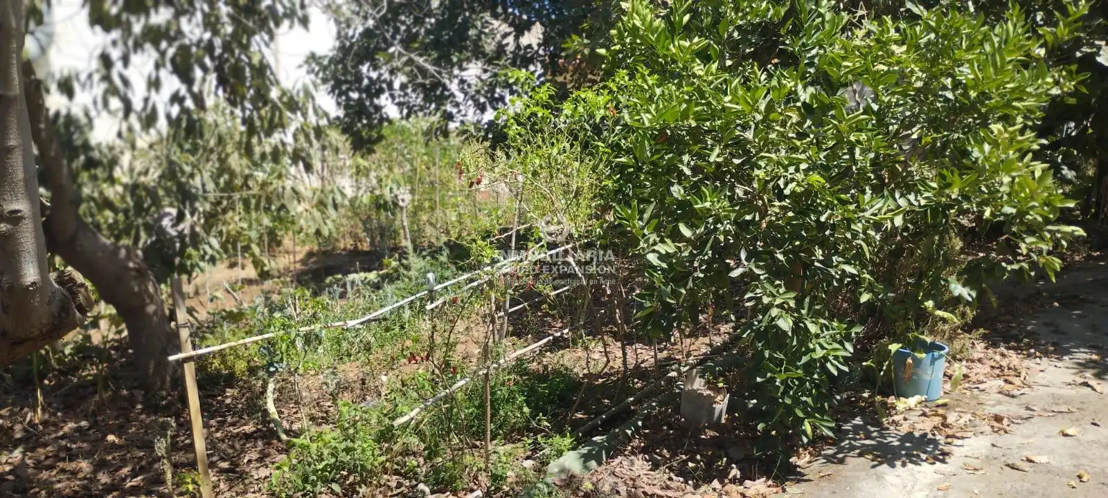 Casa o xalet en venda en La Orotava amb Terrassa i Traster
