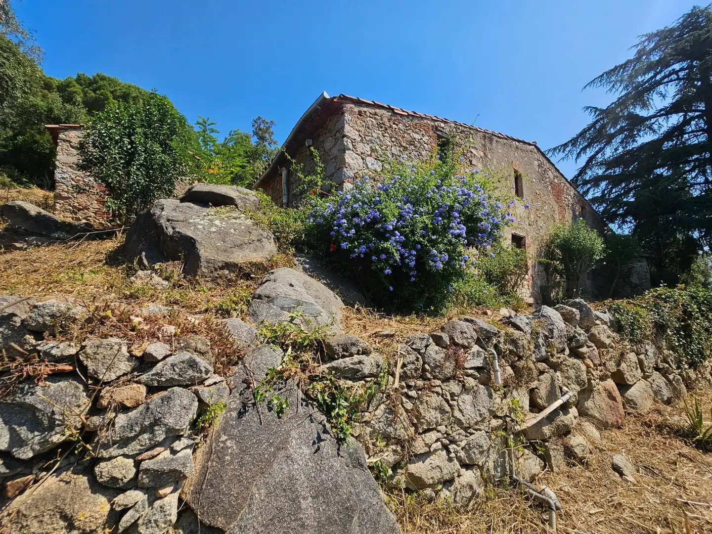 Vista exterior de Finca rústica en venda en Riells i Viabrea amb Jardí privat i Traster