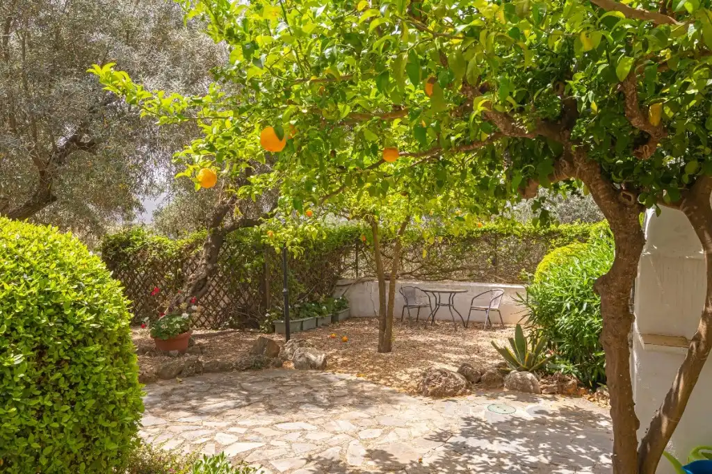 Casa rústica amb terrassa en venda a Villanueva del Trabuco, imagen 14