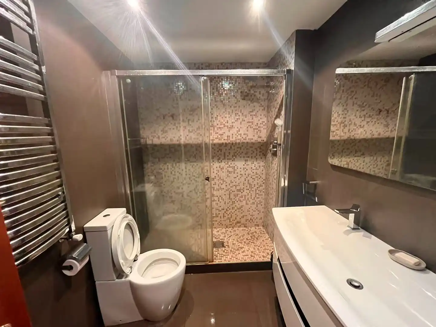Baño de Piso de alquiler en Terramelar