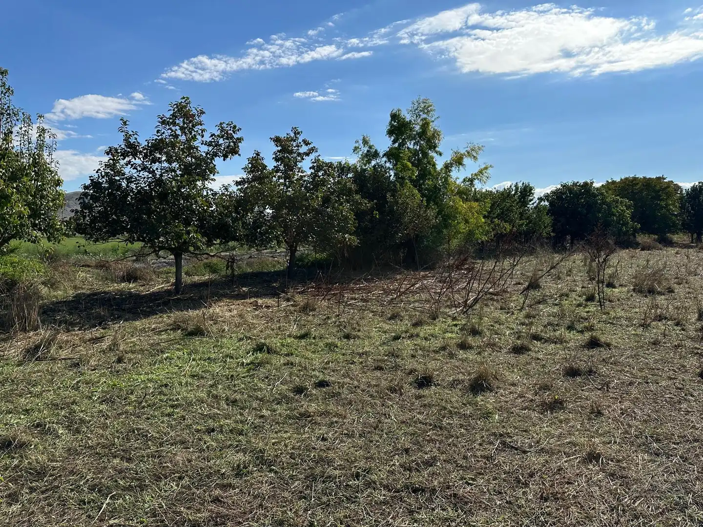 Finca rústica en venda en Fuente Vaqueros, Granada