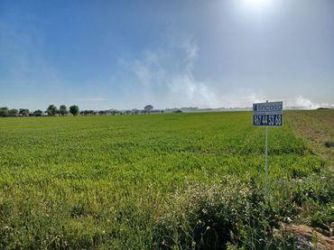 Terreno residenziale in vendita a SISANTE