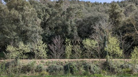 Photo 3 of Residential for sale in Sant Julià del Llor I Bonmatí - Can Neret, Carrer , Sant Julià del Llor i Bonmatí, Girona