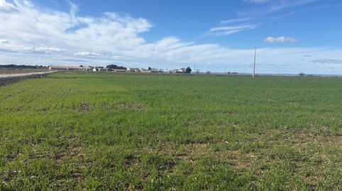 Foto 3 de Terreno en venta en Almacelles, Lleida