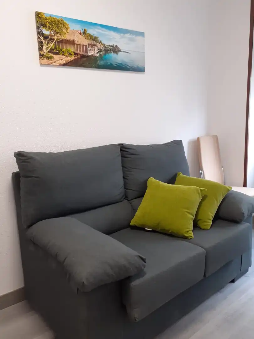 Living room of Flat for rent in Santiago de Compostela   with Furnished