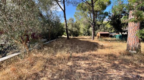 TERRENY URBÀ DE 510 m2 EN VENDA A CAN DALMASES, COLLBATÓ, immagine 2