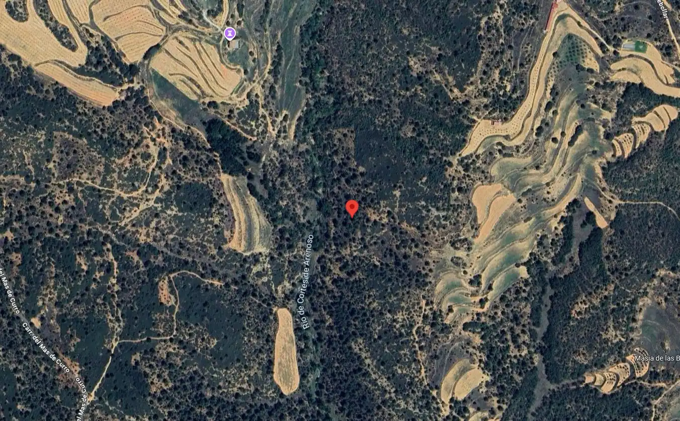 Land for sale in Cortes de Arenoso