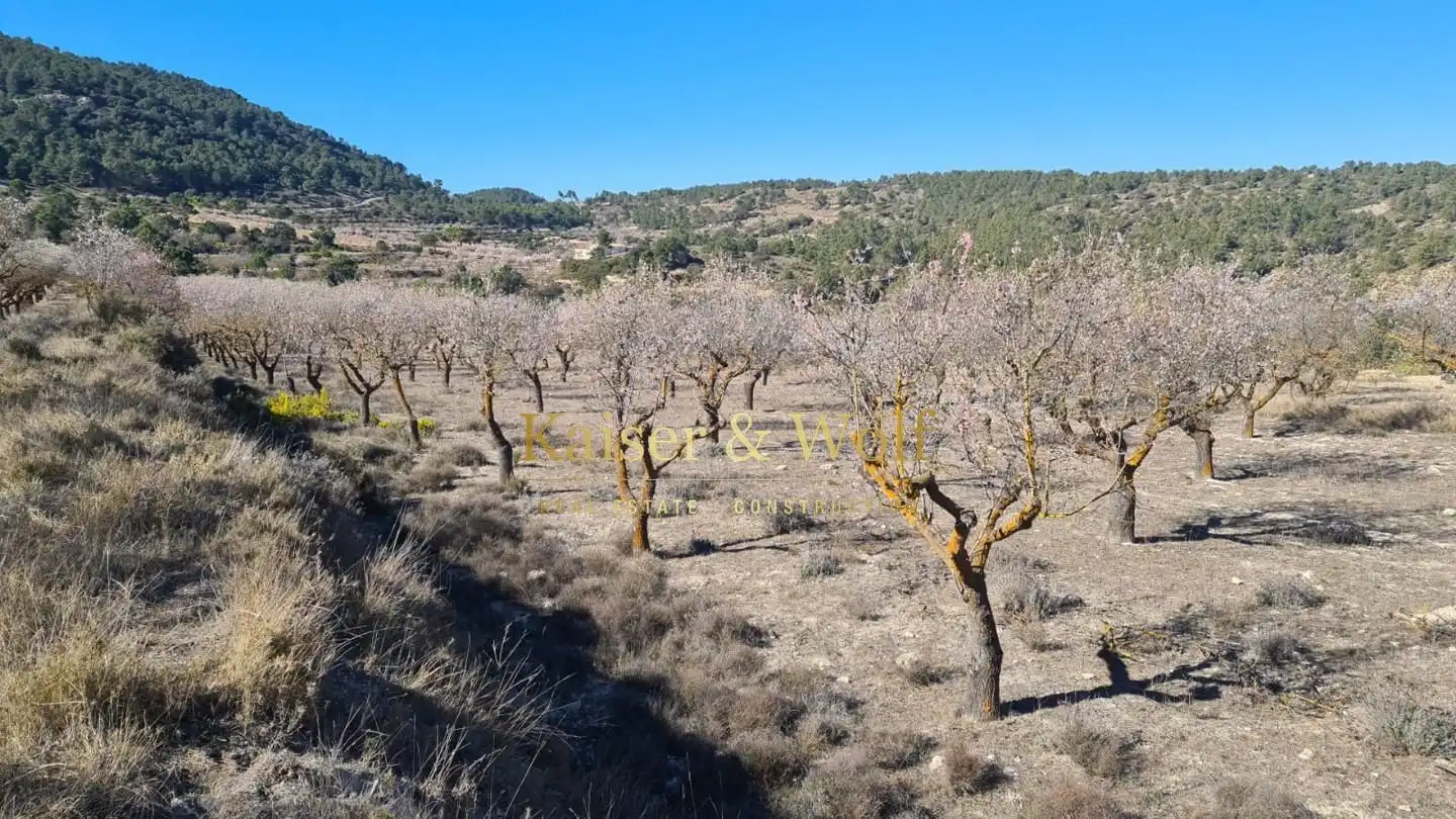 Finca rústica en venta en Onil con Jardín privado