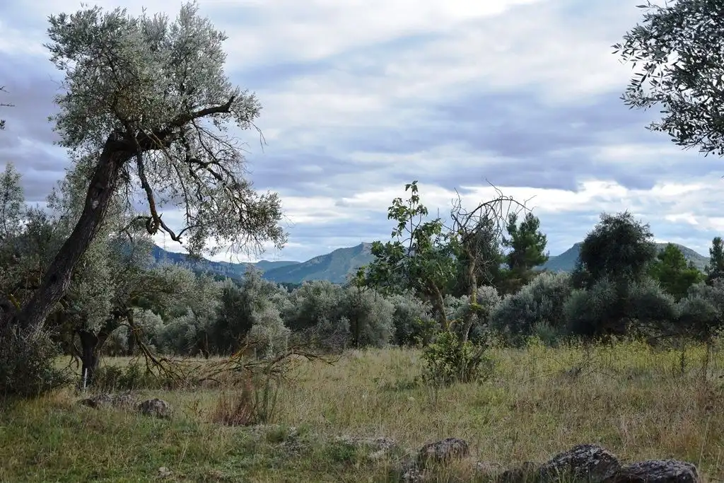 Terreni e lotti in vendita a Valderrobres