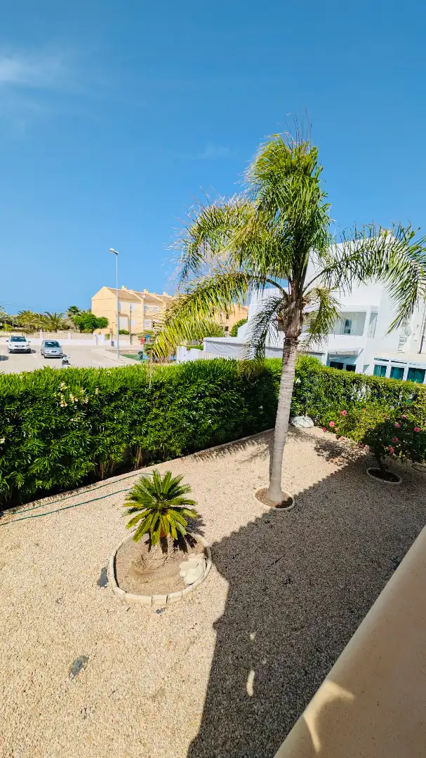 Vista exterior de Casa o xalet en venda en Oliva amb Aire condicionat, Calefacció i Jardí privat