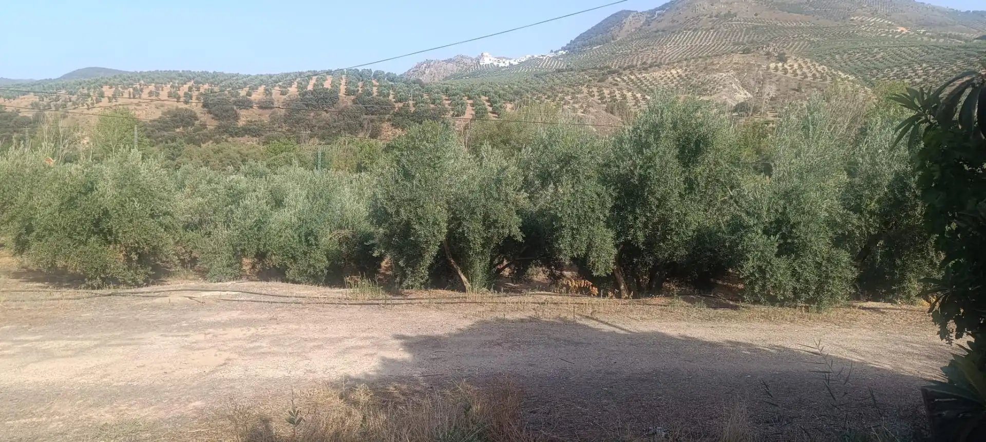 Casa rústica en venda a Huelma, imagen 32
