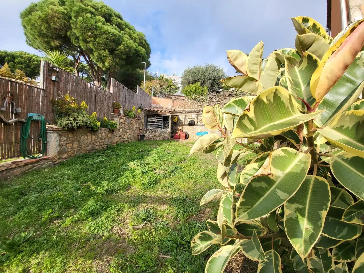 Jardí de Casa o xalet en venda en Calonge i Sant Antoni amb Calefacció, Jardí privat i Terrassa