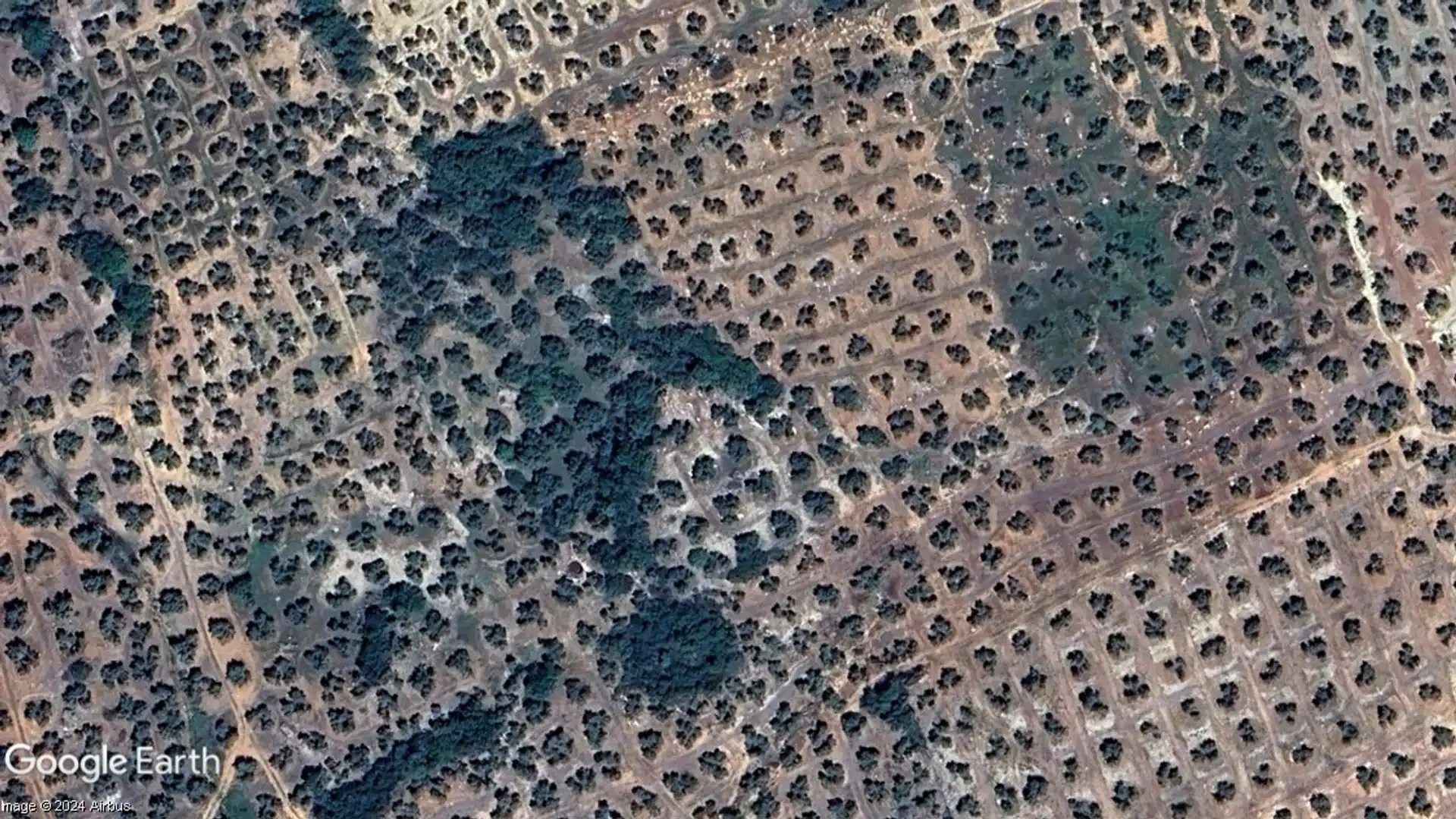 Terreno en venta en Navas de San Juan