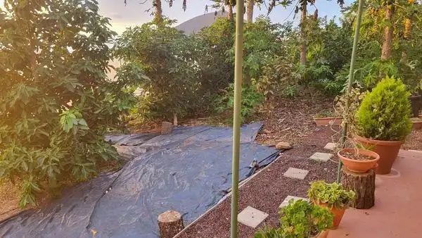 Jardí de Finca rústica en venda en Santa María de Guía de Gran Canaria