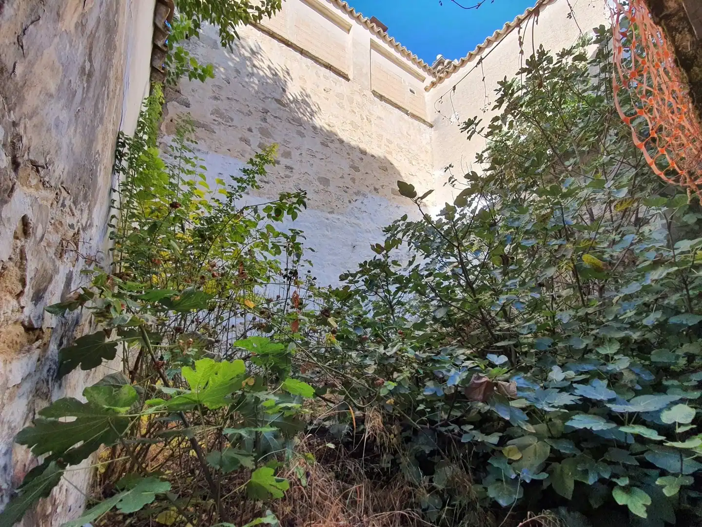 House with garden for sale in Plaza San Pedro, imagen 23