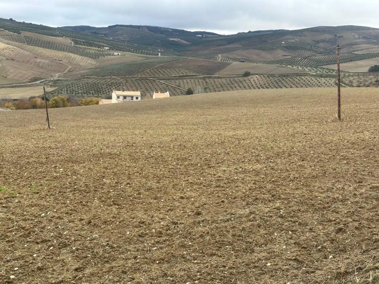 Terreni e lotti in vendita a Alhama de Granada, imagen 9