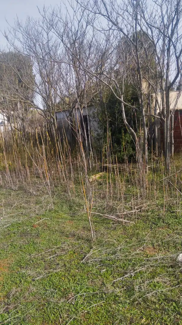 Houses for sale in Albacete  with Private garden