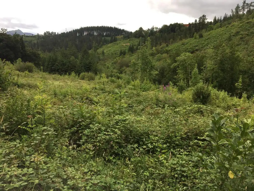 Finca rústica en venda en Mallabia