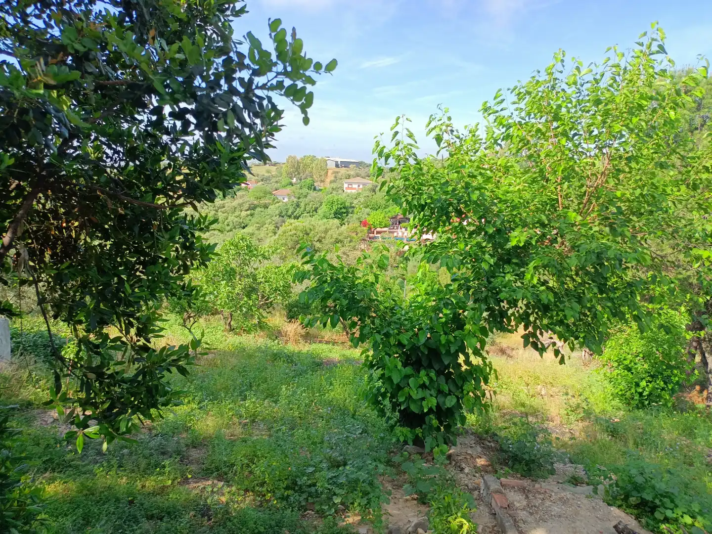 Maison rustique à vendre à Almodóvar del Río, imagen 6