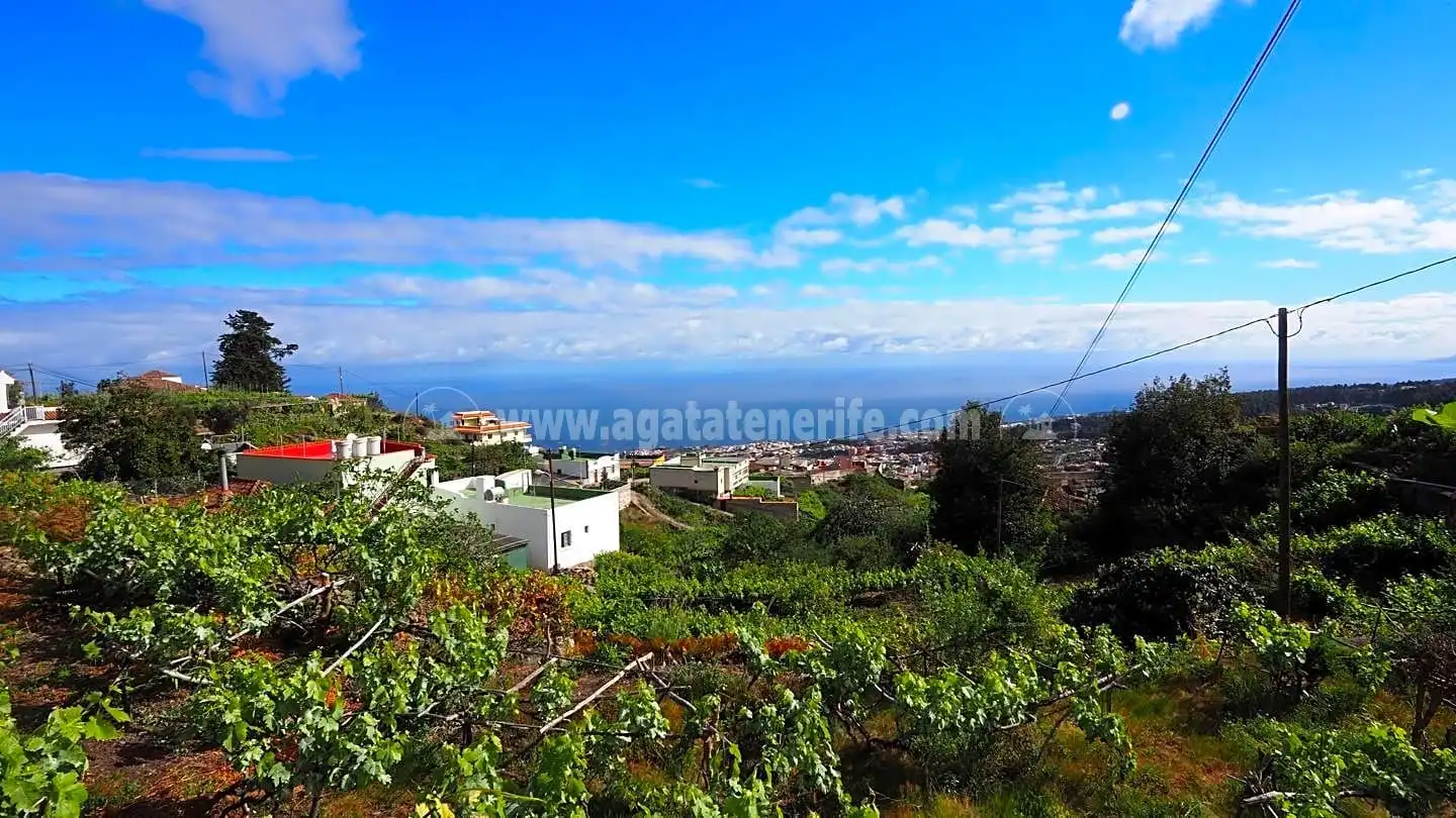 Lands and plots for sale in La Vega - El Amparo - Cueva del Viento, imagen 11