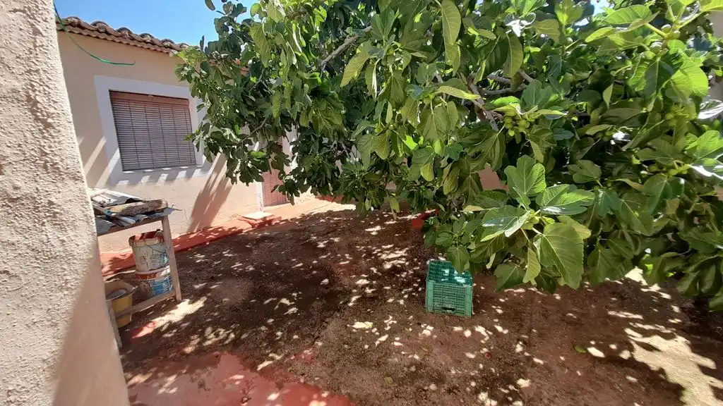 Finca rústica en venta en Munera