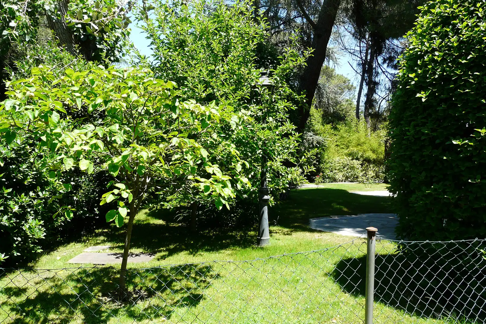 Jardín de Casa o chalet en venta en Madrid con Calefacción, Jardín privado y Terraza