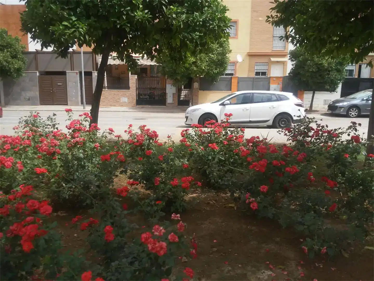 Vista exterior de Casa o xalet en venda en  Sevilla Capital amb Aire condicionat