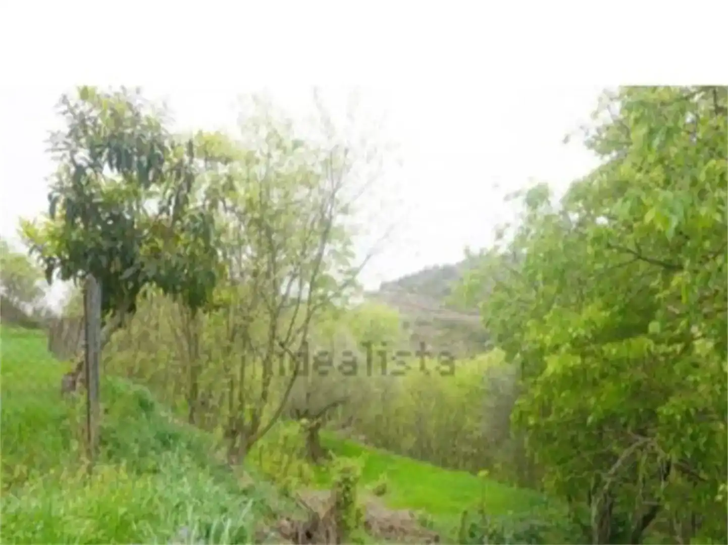Casa o chalet en venta en Olvena con Jardín privado, Trastero y Amueblado