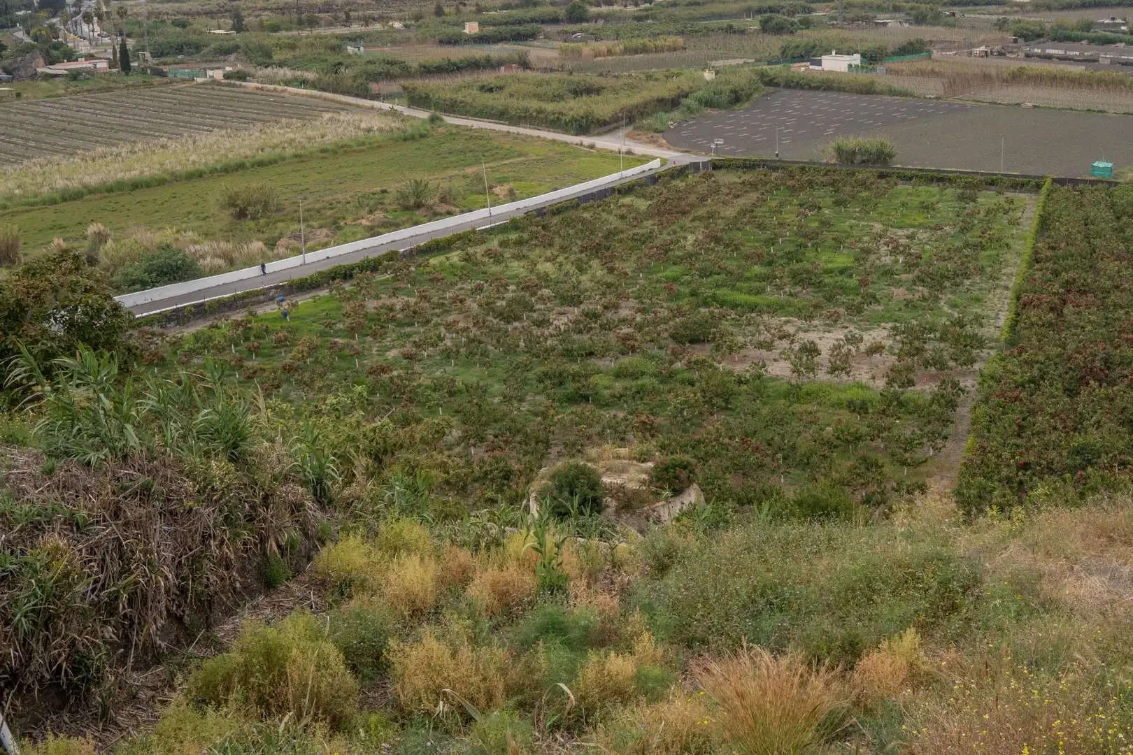 Terreni e lotti in vendita a CARRETERA MALAGA (CAL) 74, imagen 61