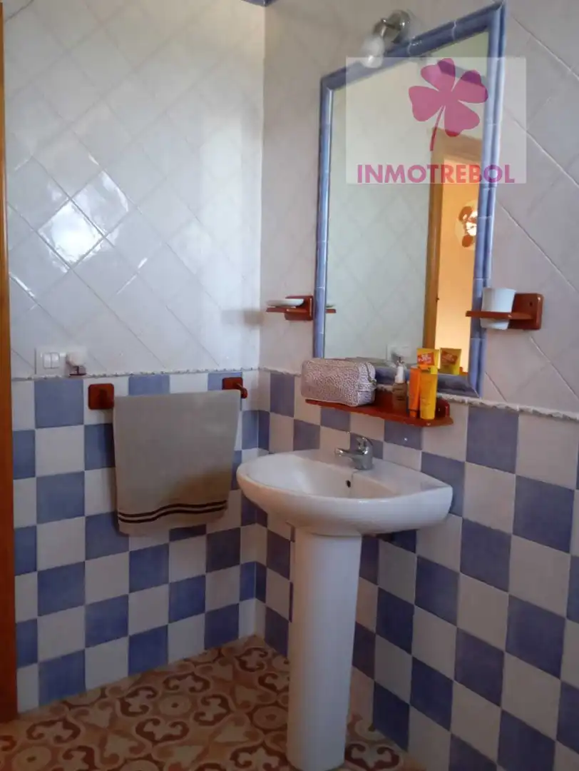 Bany de Casa o xalet en venda en Carrión de los Céspedes amb Jardí privat, Parquet i Piscina