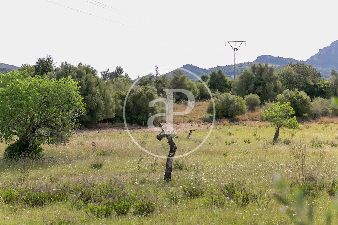 Terreny residencial en venda a Av. Montferrutx, imagen 42