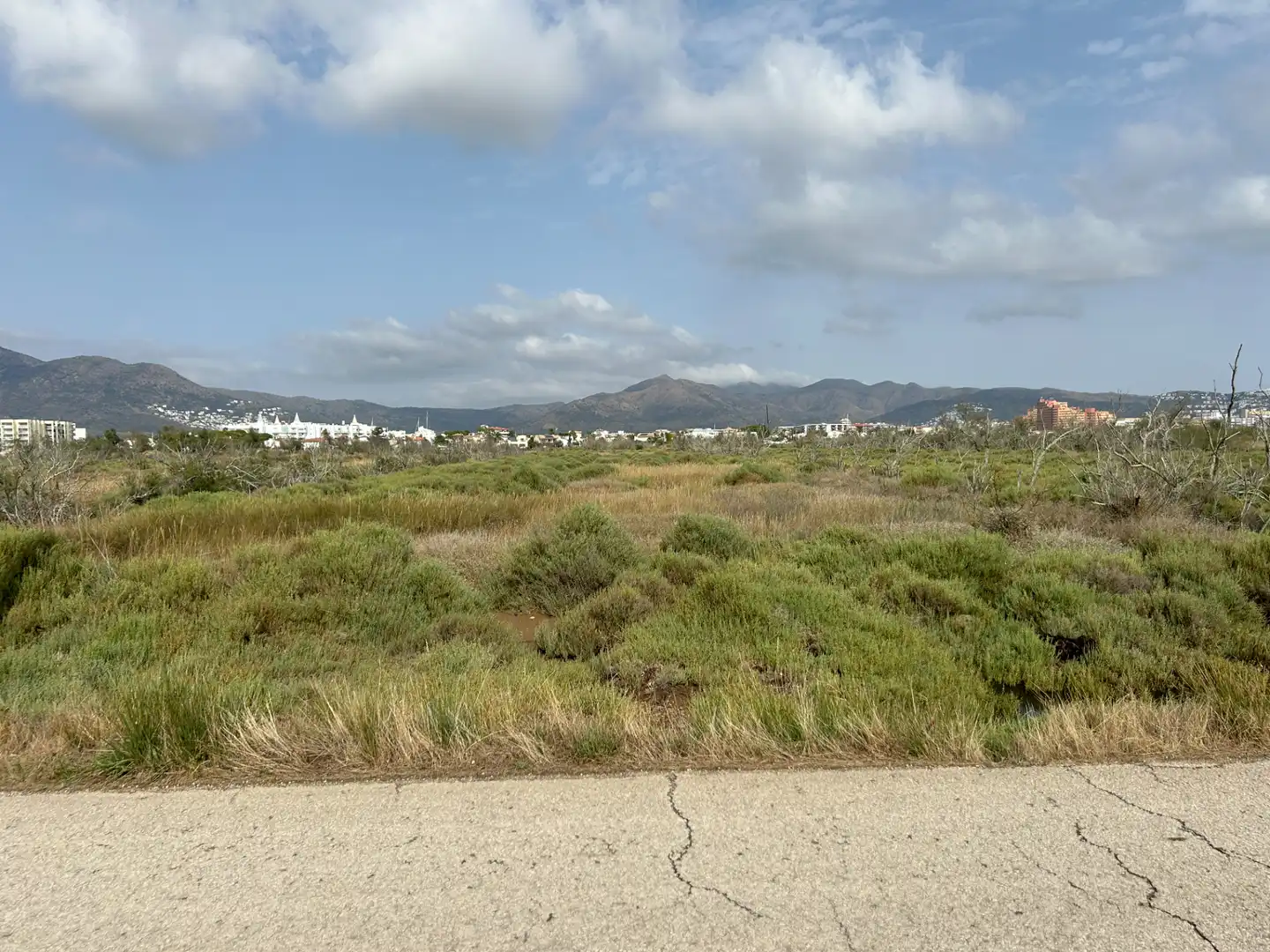 Terreny rústic en venda a Castelló d'Empúries