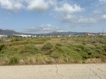 Terreno rustico in vendita a Castelló d'Empúries