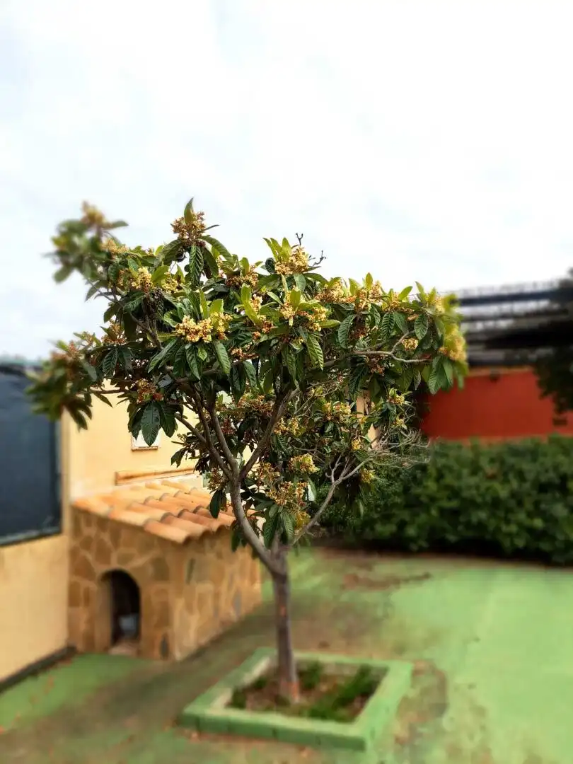 Terreno residenziale in vendita a Fuente el Fresno, imagen 5