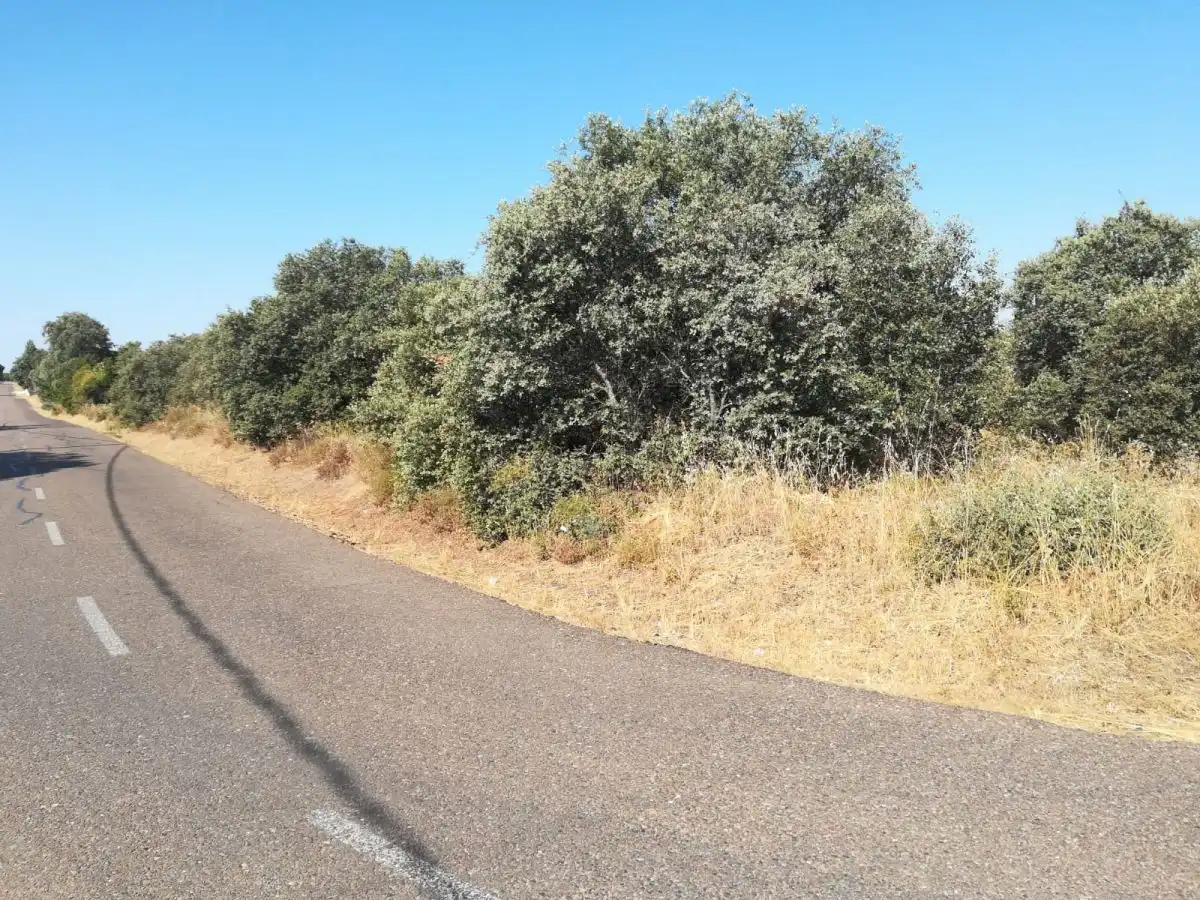Terreni e lotti in vendita a Carretera de Sevilla - Los Montitos, imagen 4