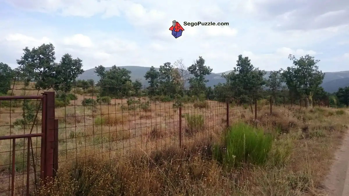 Terrenys i solars en venda a Pelayos del Arroyo, imagen 2