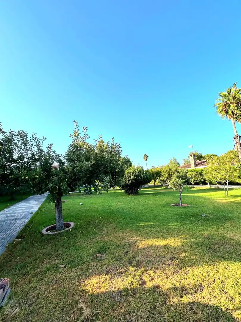 Chalet con piscina en venta en Castilblanco de los Arroyos, imagen 10