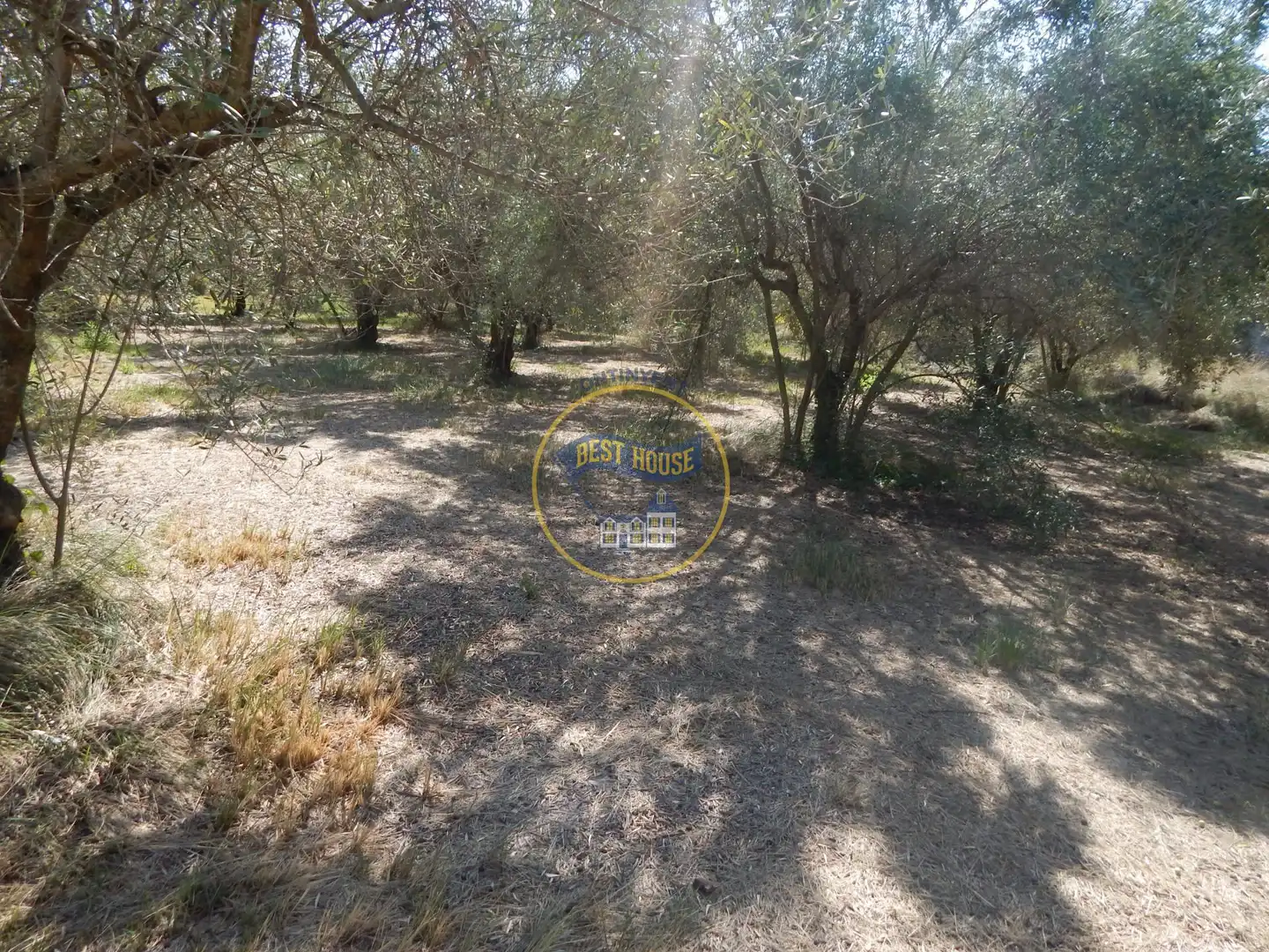 Terrain rustique à vendre à Sant Josep - Zona Hospital, imagen 20